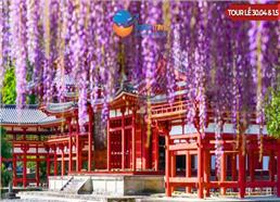 Tour Nhật Bản Lễ 30/4: Shinhotaka Route Mùa Hoa Tử Đằng